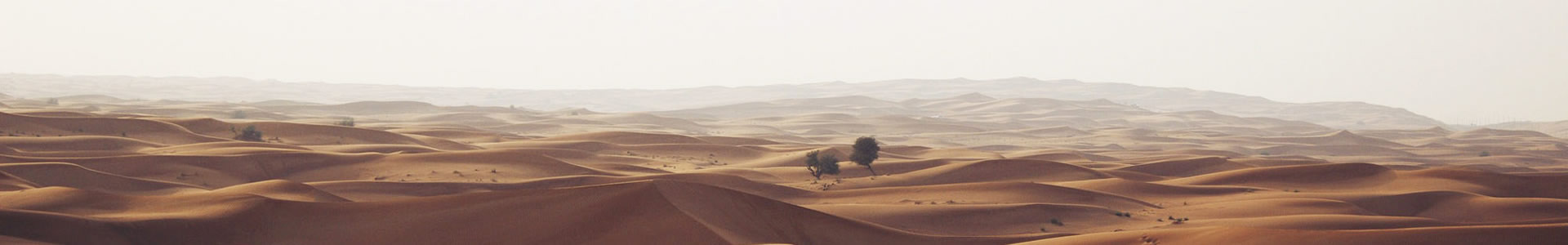 ݶɰƼ޹˾